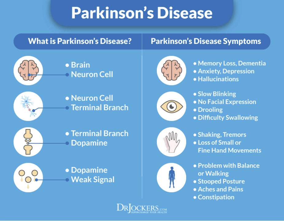 Understanding the Role of Dopamine in Parkinson's Disease - InsiderRx ...