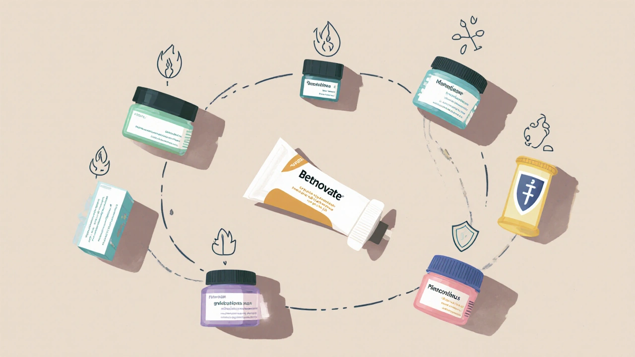 Flat‑lay of seven topical creams with icons showing potency and risk.